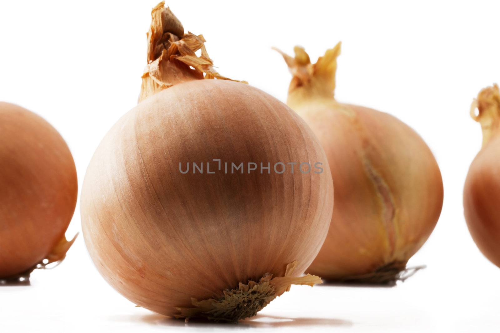 closeup of one onion in front of some other onions