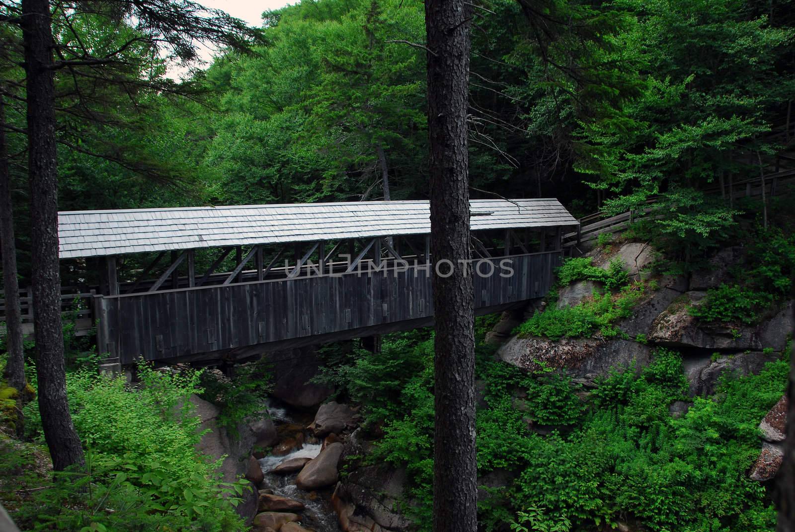 Small wooden covered bridge for pedestrian