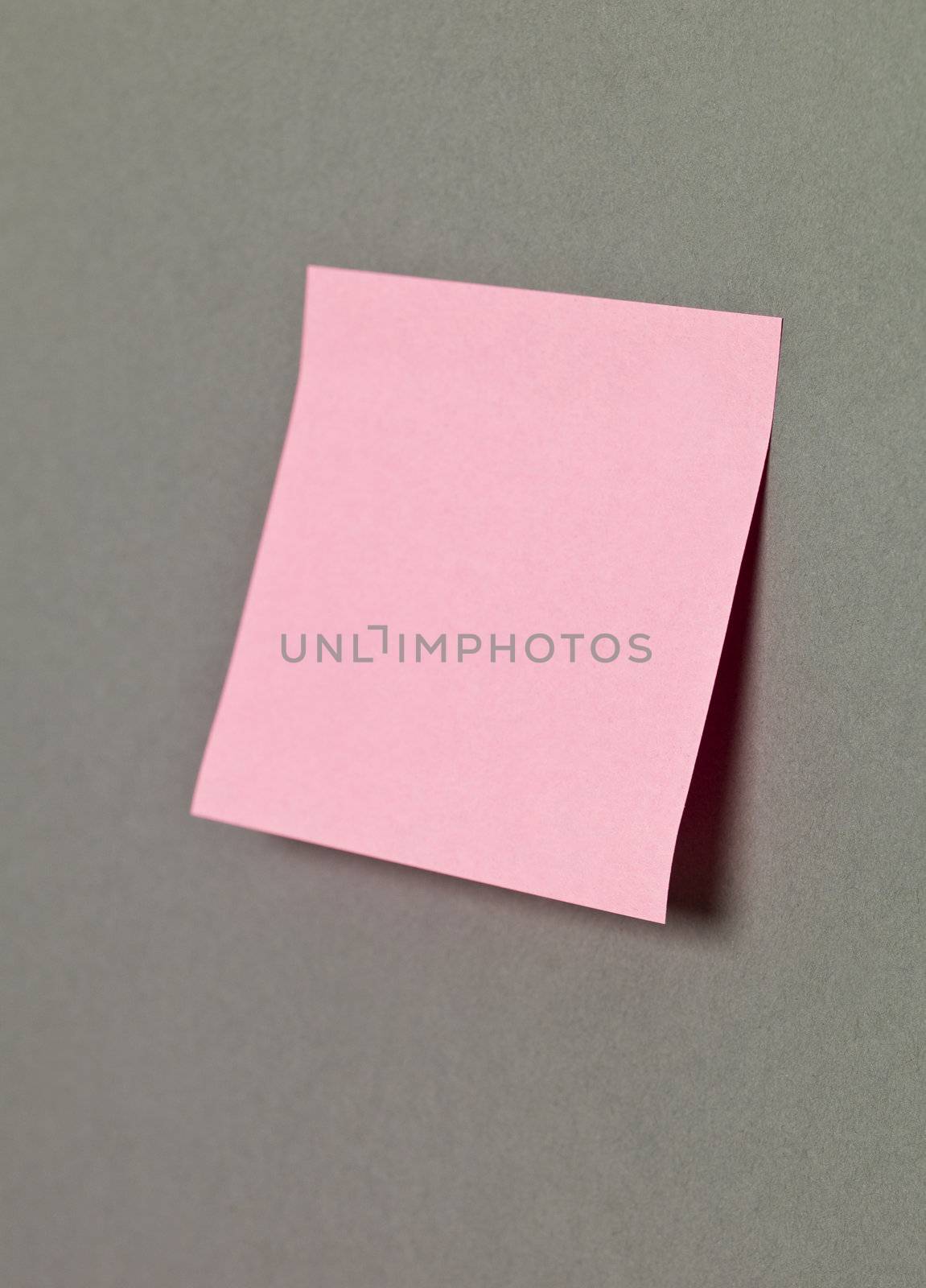 Pink Adhesive Note on grey background