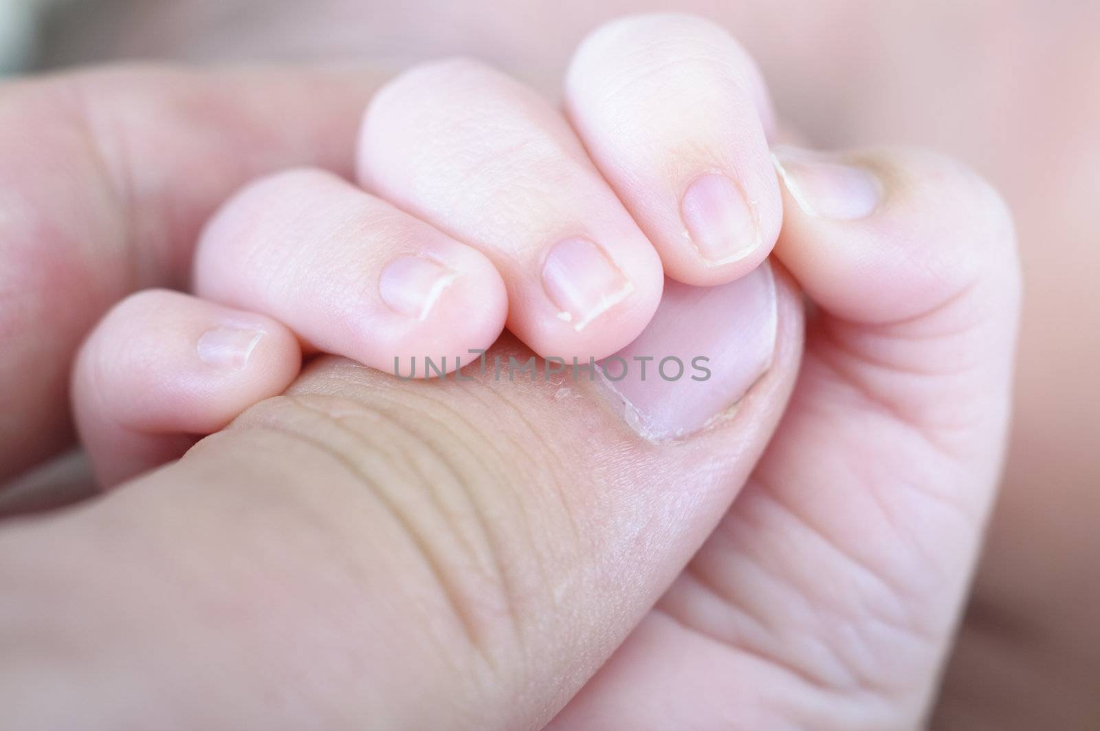 Picture of a new born hand. Father and son.