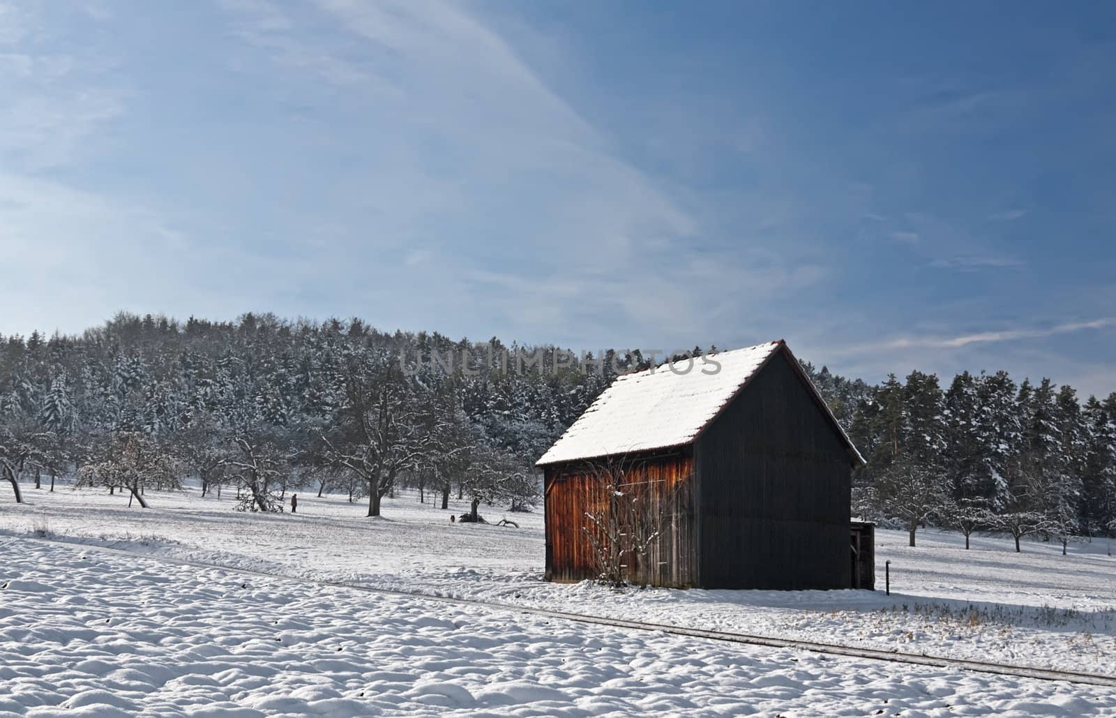 This image shows a cabin in winter