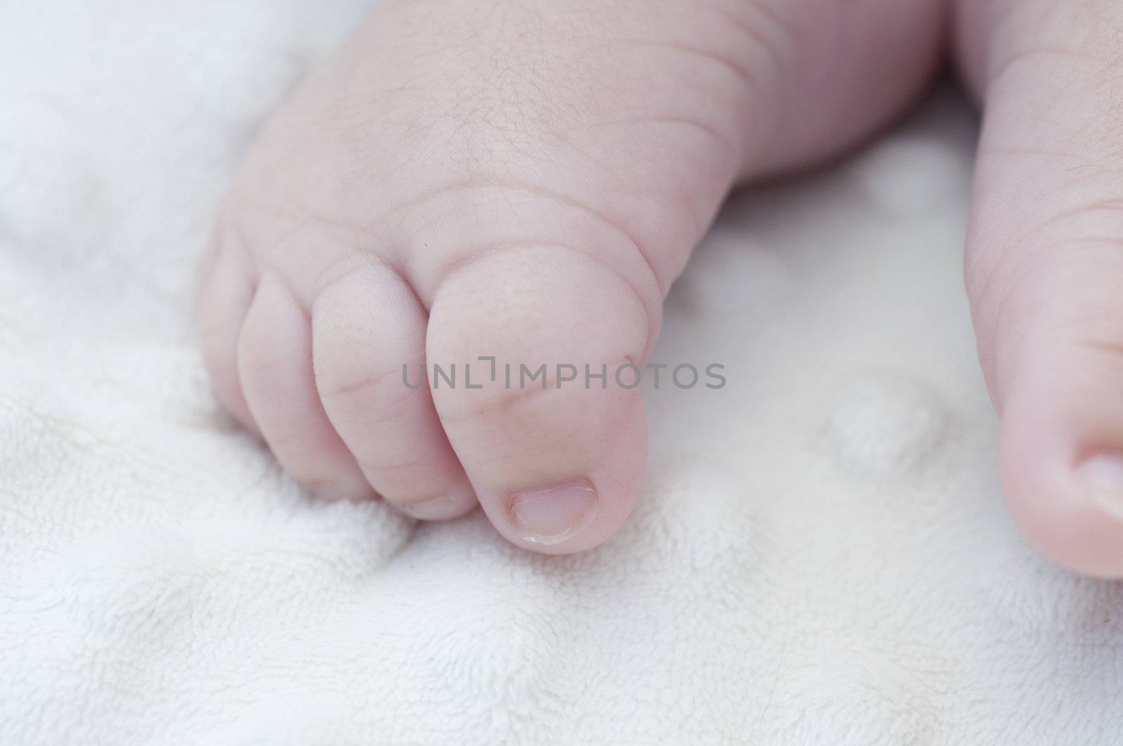 Picture of a new born foot.