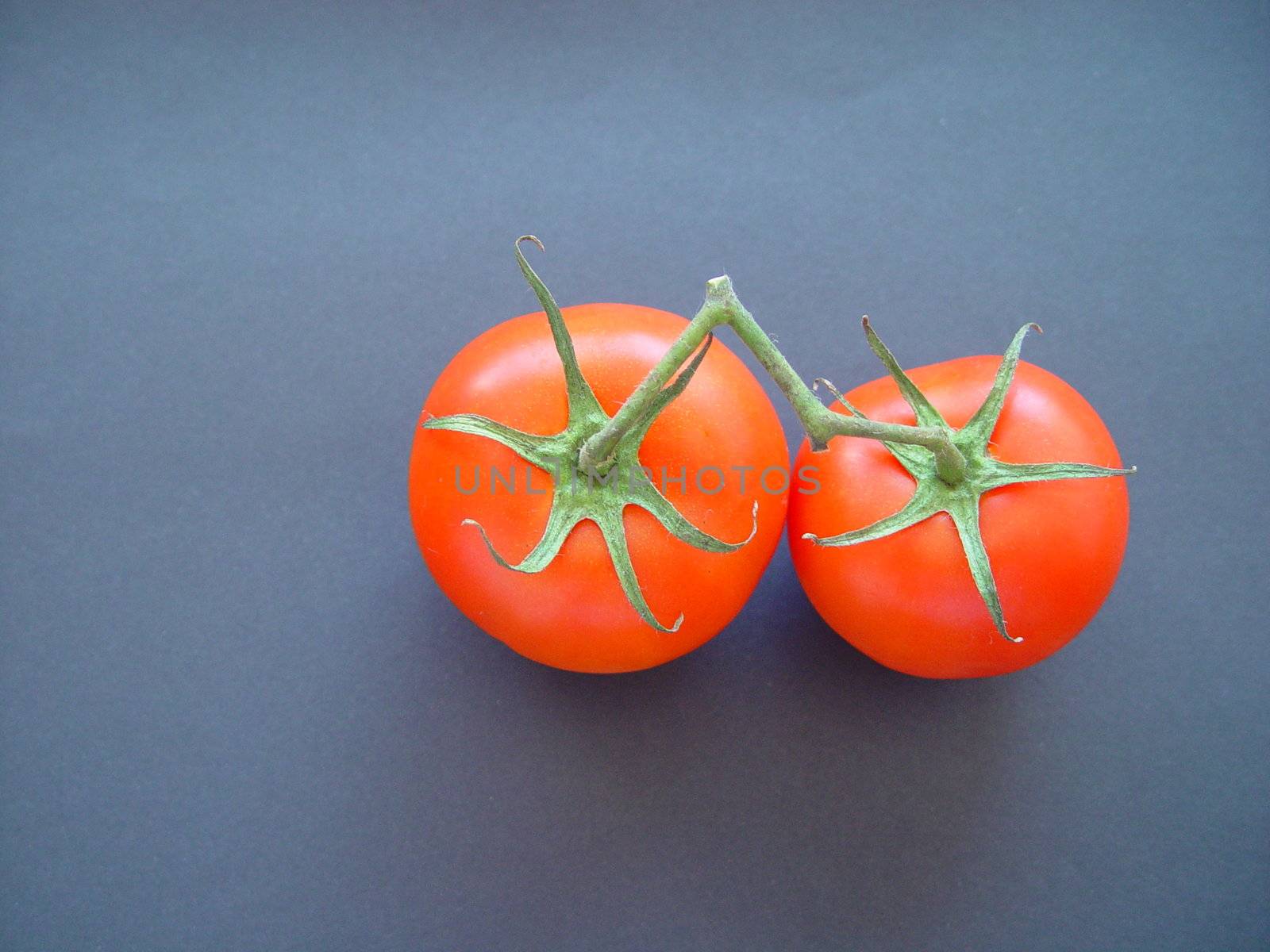 Tomatoes by Flaps