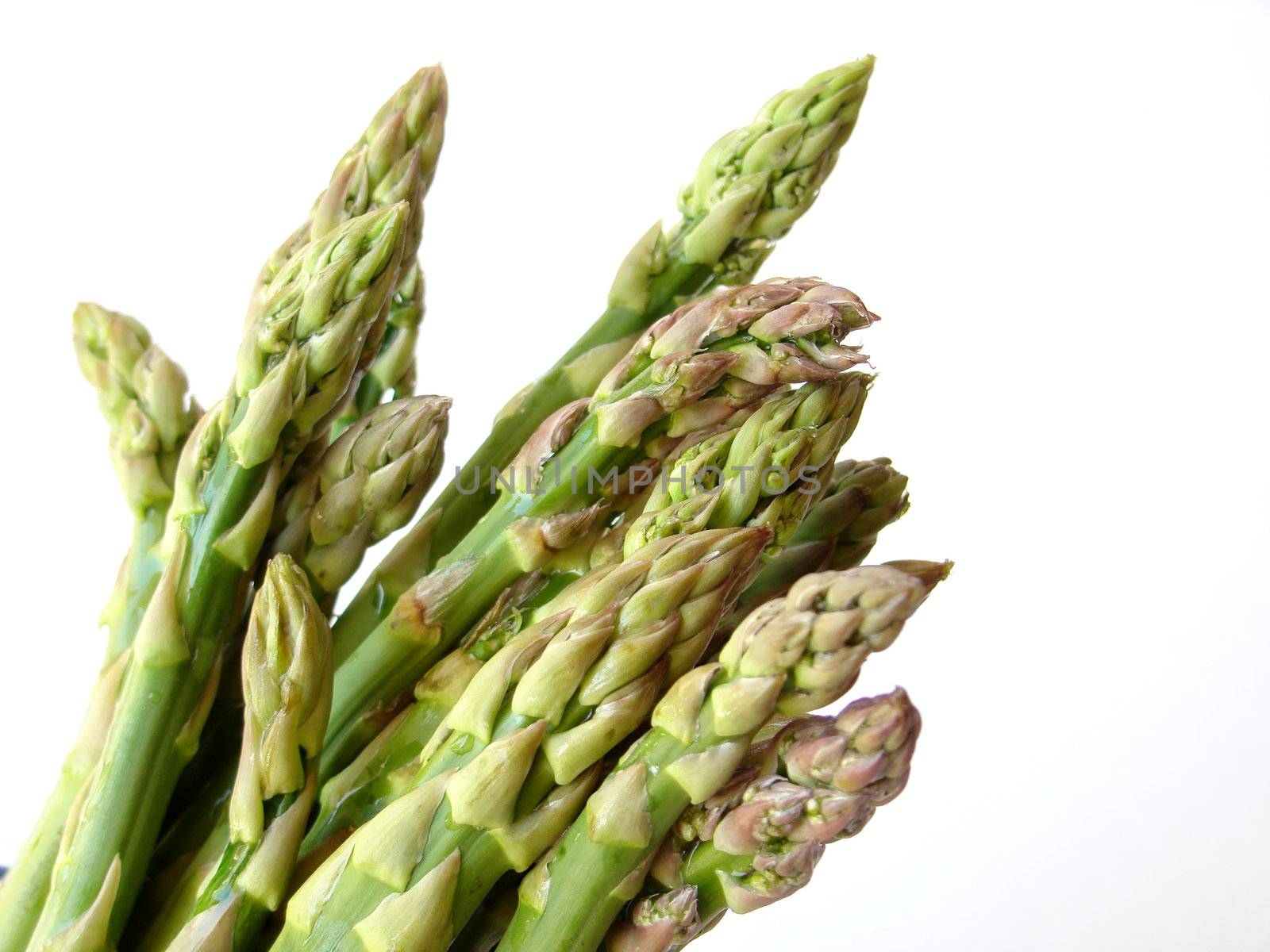 Bunch of asparagus isolated on white background