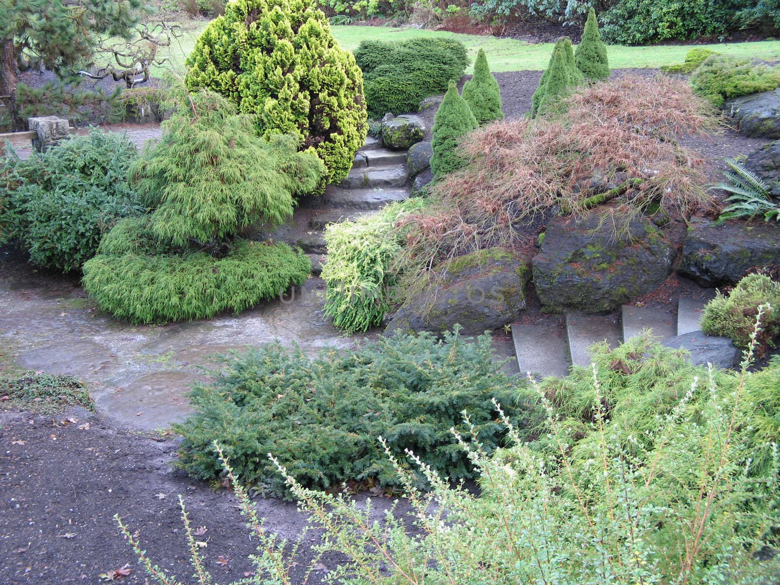 large green garden