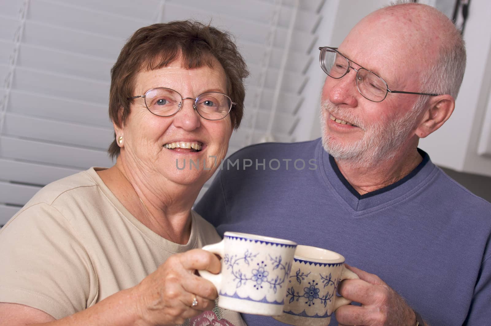 Happy Senior Adult Couple by Feverpitched