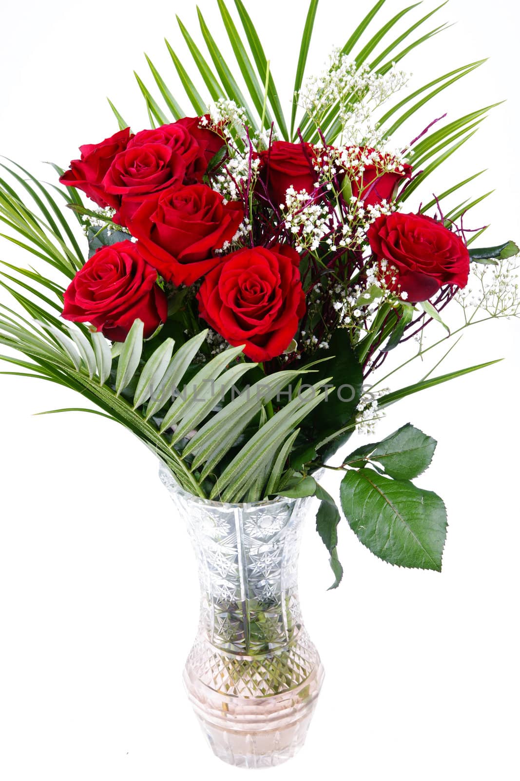 Bouquet of red fresh roses in crystal vase  on white background