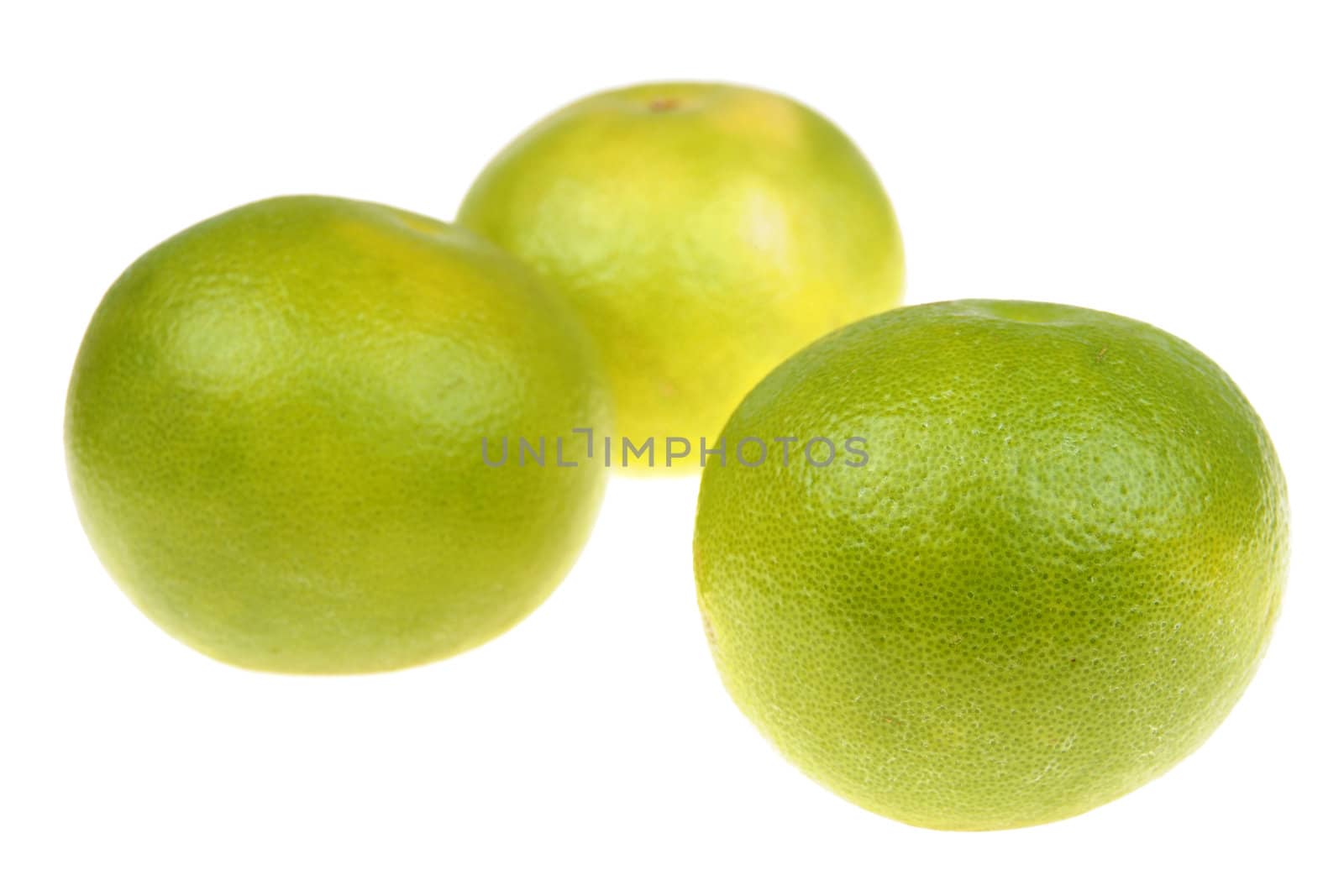 Three big green grapefruits close-up on white background