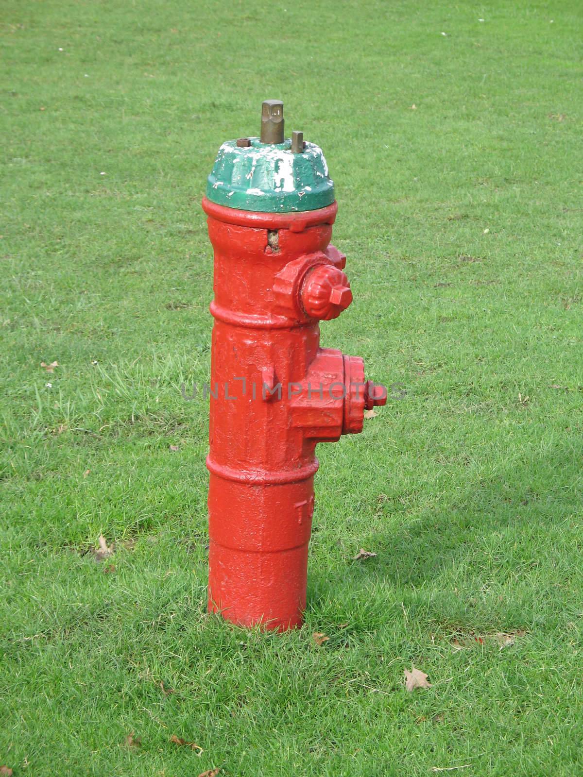 red fire hydrant by mmm