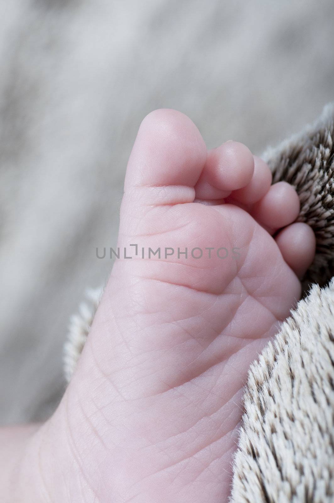 New born foot by FernandoCortes