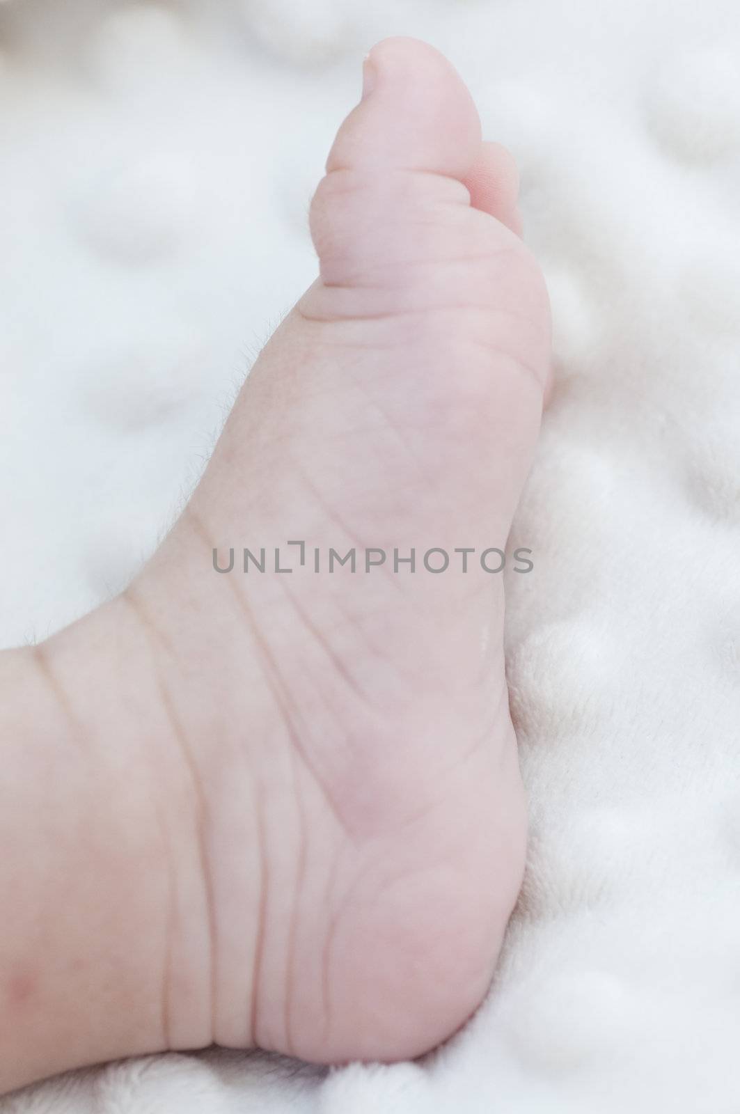 Picture of a new born foot.