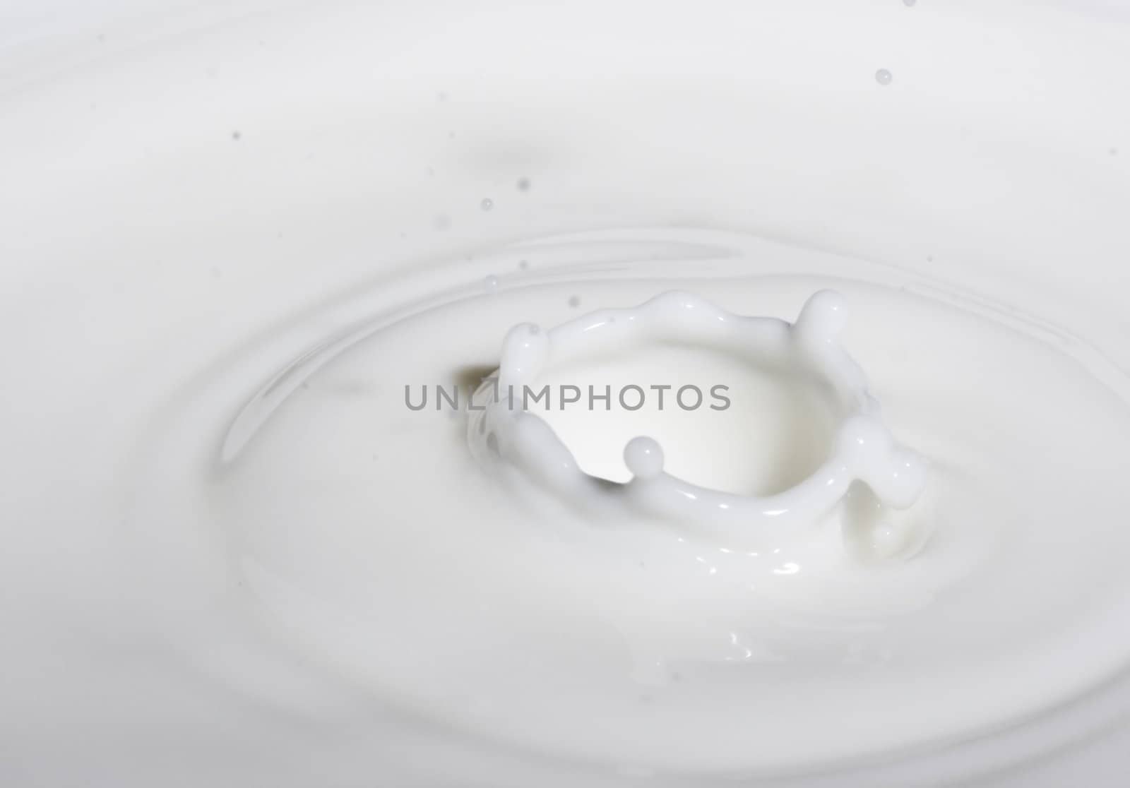 a drop splash of withe liquid or milk