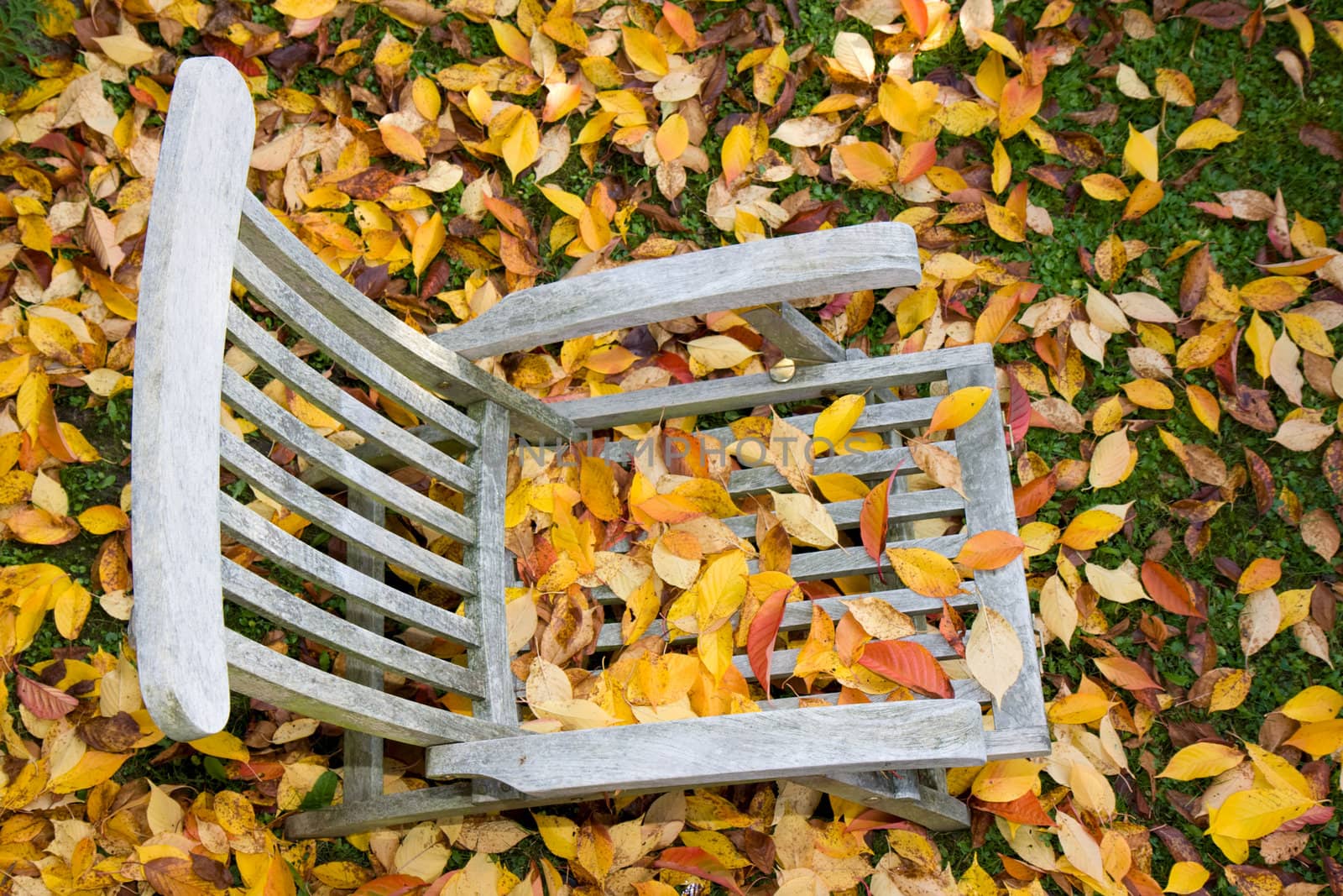 a wooden deckchair covered with leaves in autumn by bernjuer
