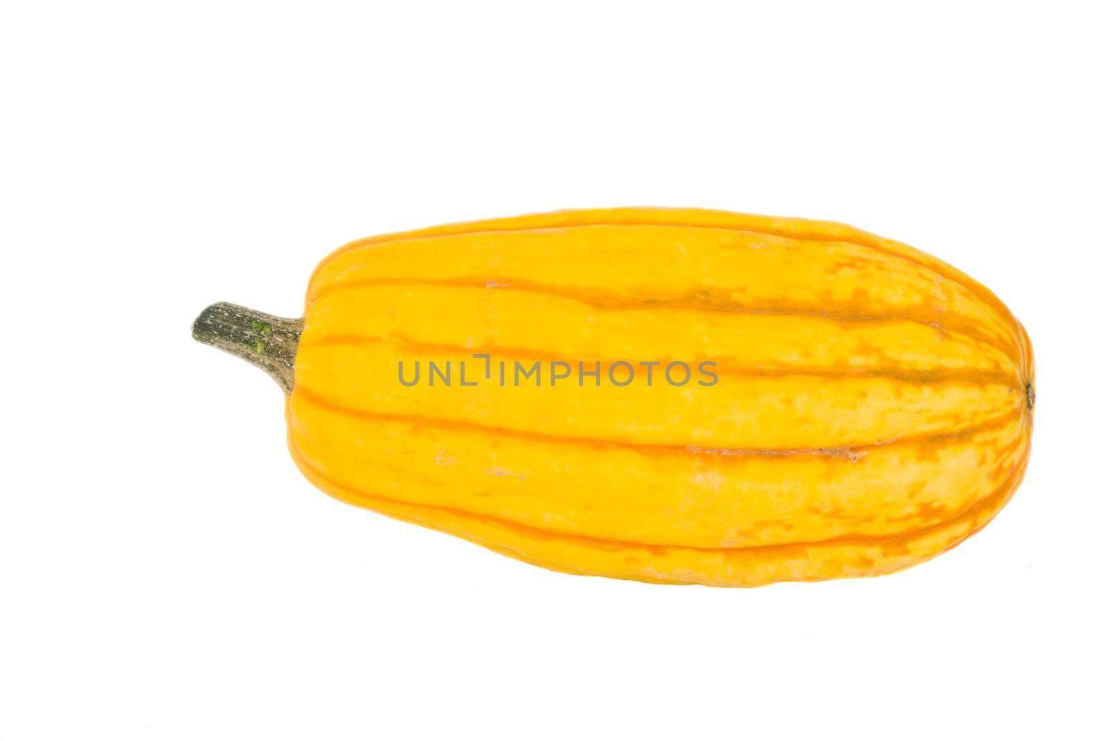 a pumpkin isolated on white background by bernjuer