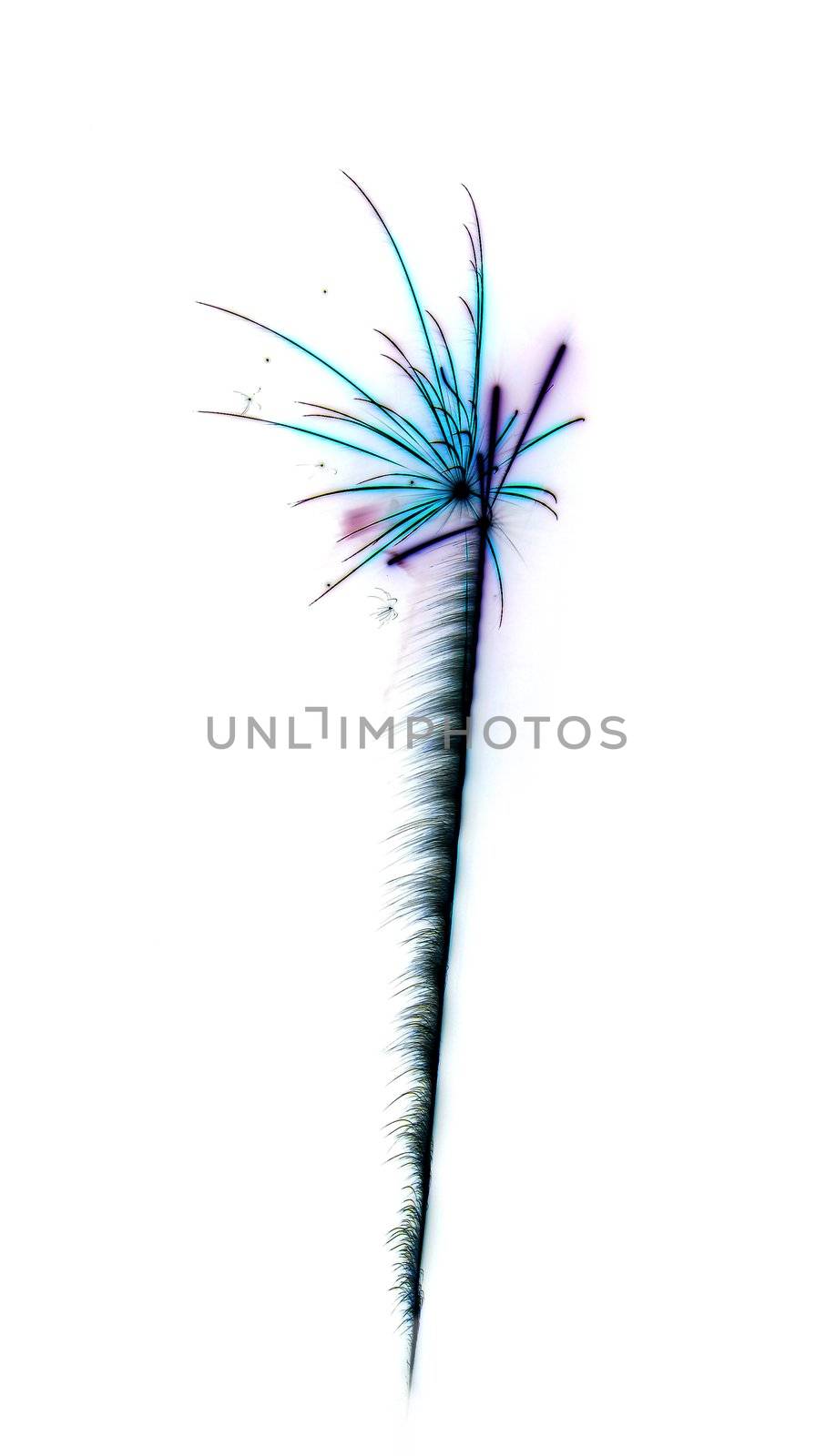 abstract celebration firework by Trebuchet