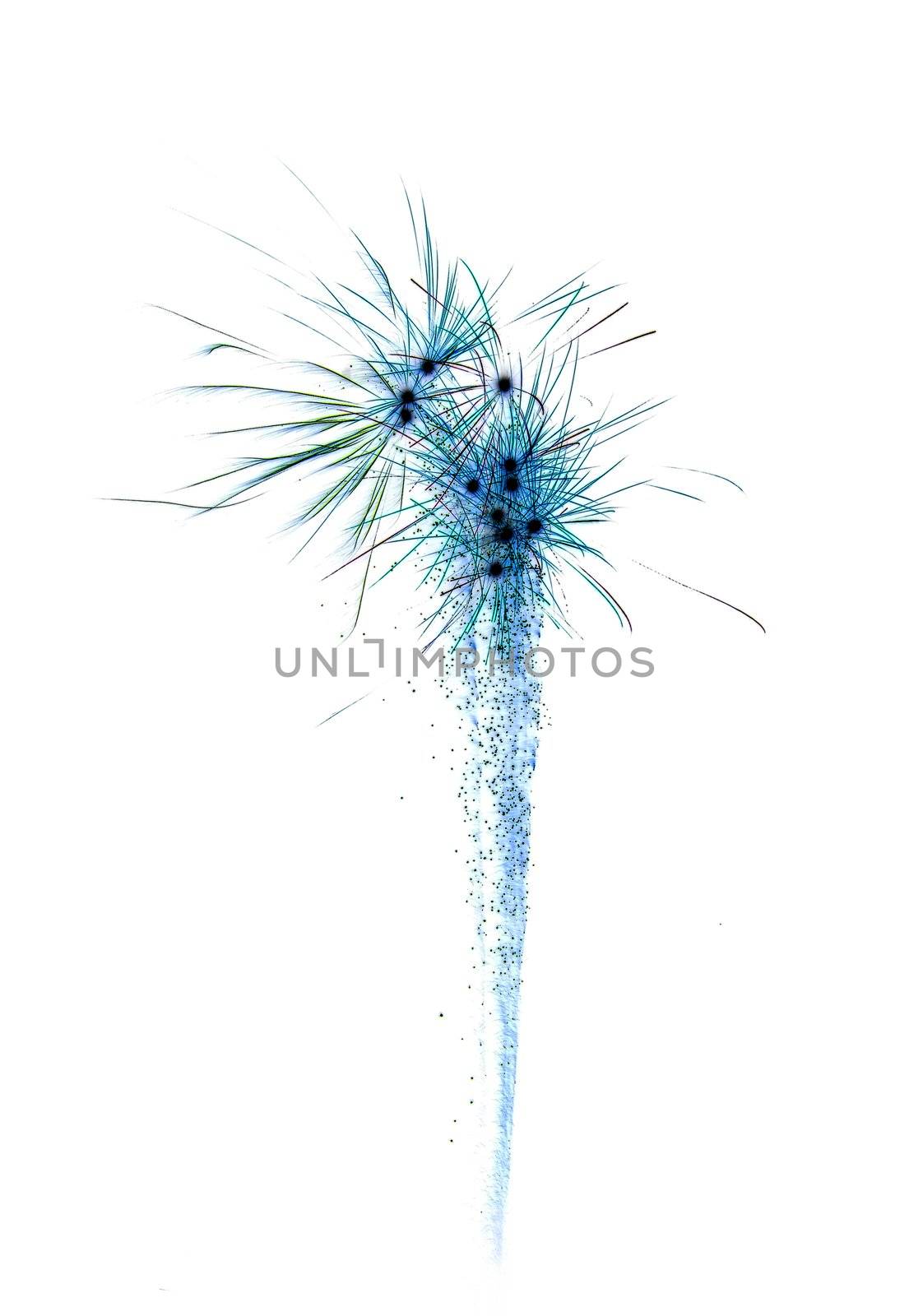 abstract celebration firework by Trebuchet