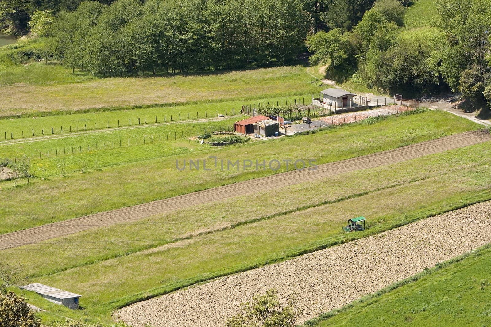 rural nature agriculture scenic by Trebuchet