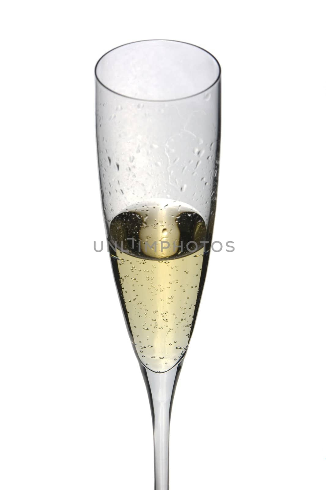 close up of an isolated glass cup of champagne