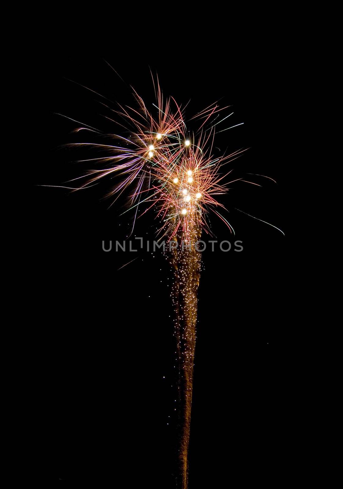 image of an explosion of a firework during a celebration