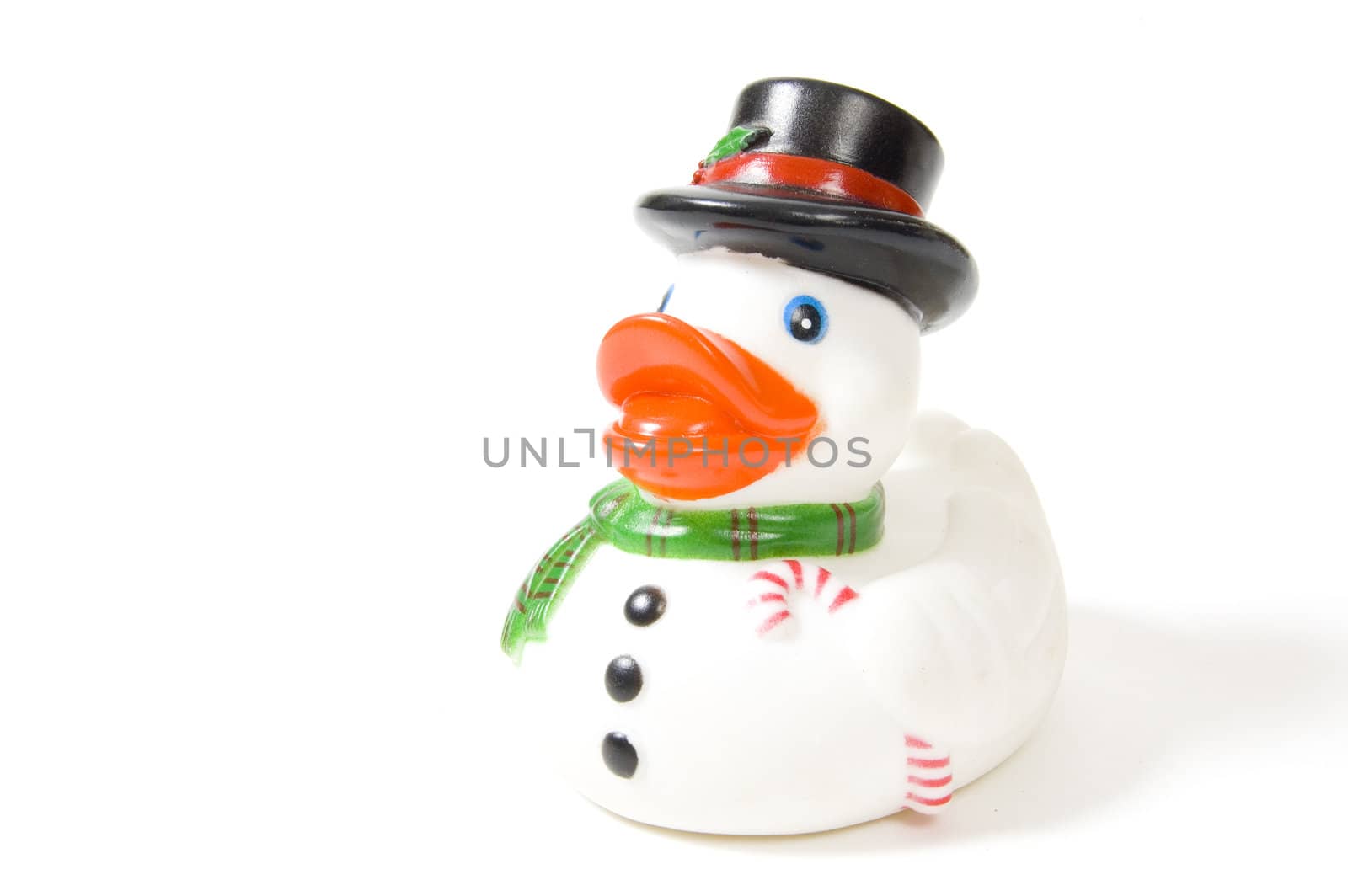 snowdoll duck isolated on white background