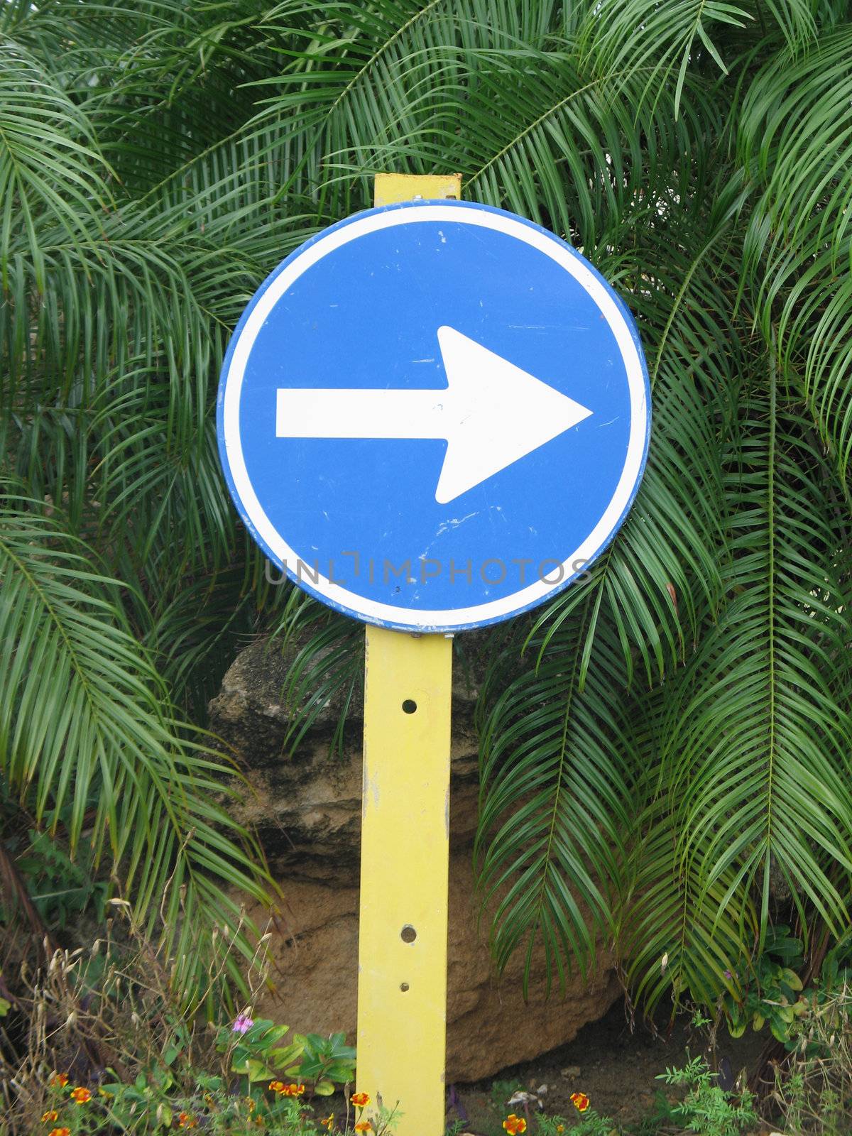 street direction sign by mmm
