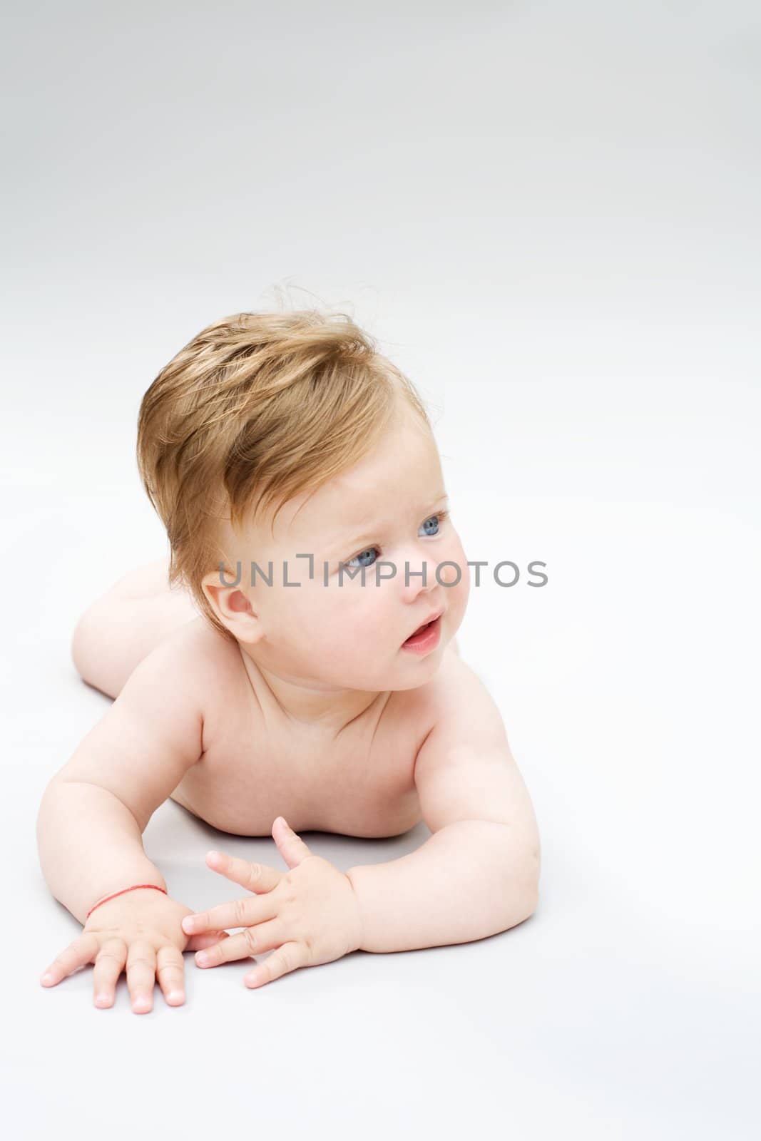 portrait little baby on the white background