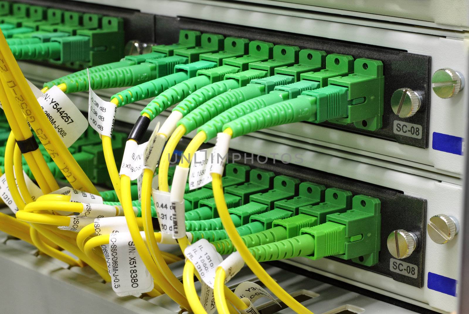 Green singlemode sc connectors connected to patch panel