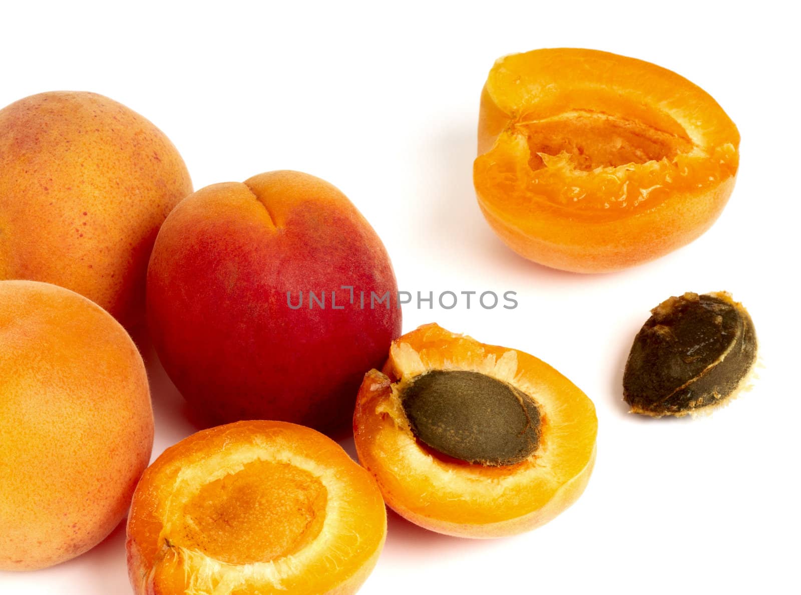 Apricots by Kamensky
