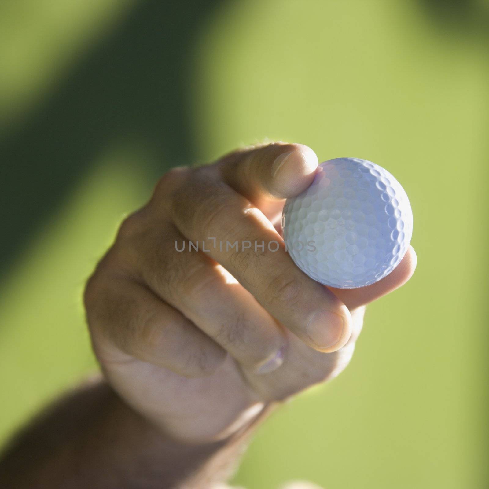 Caucasian mid adult male hand holding golf ball.