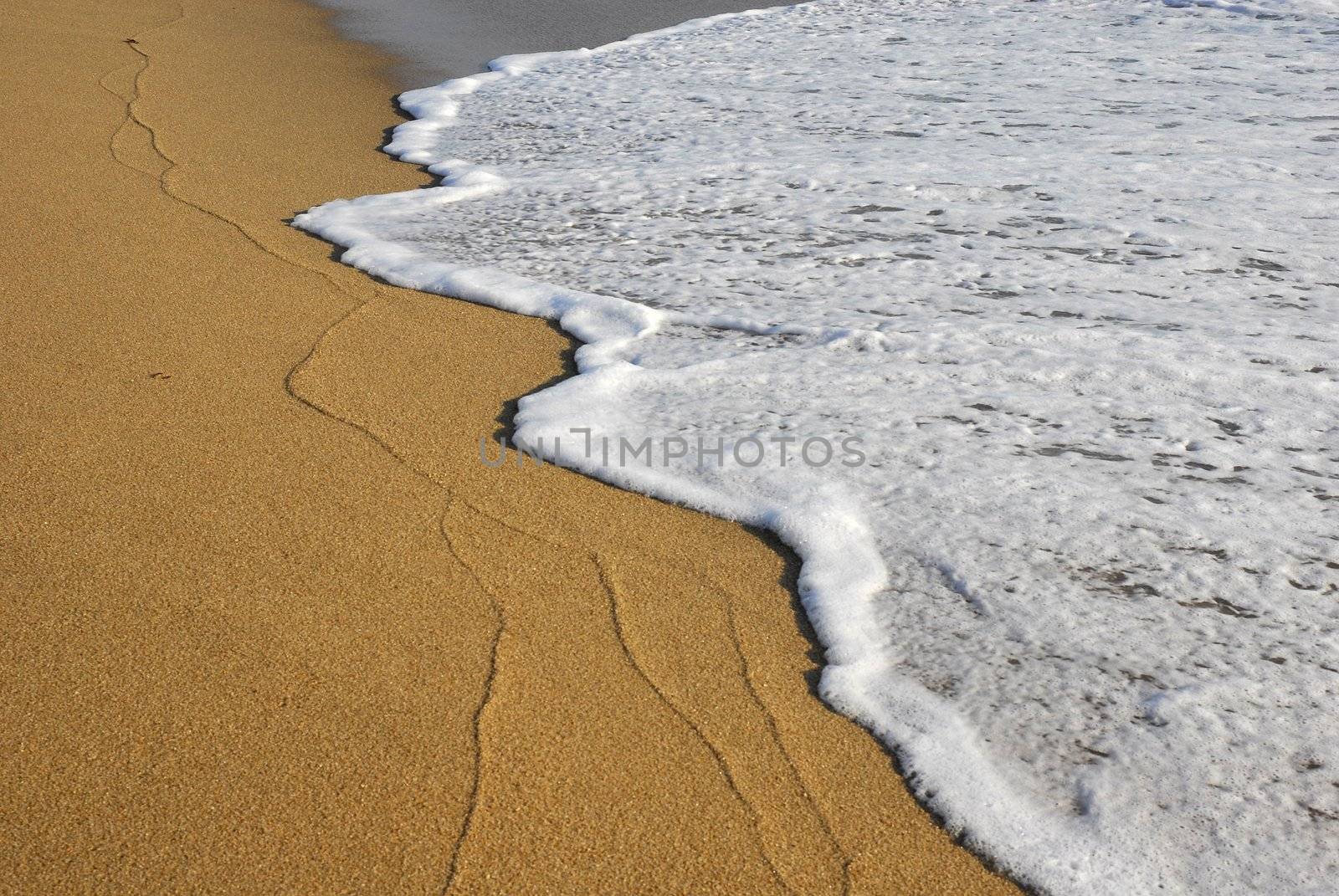 lines in the sand at the beach