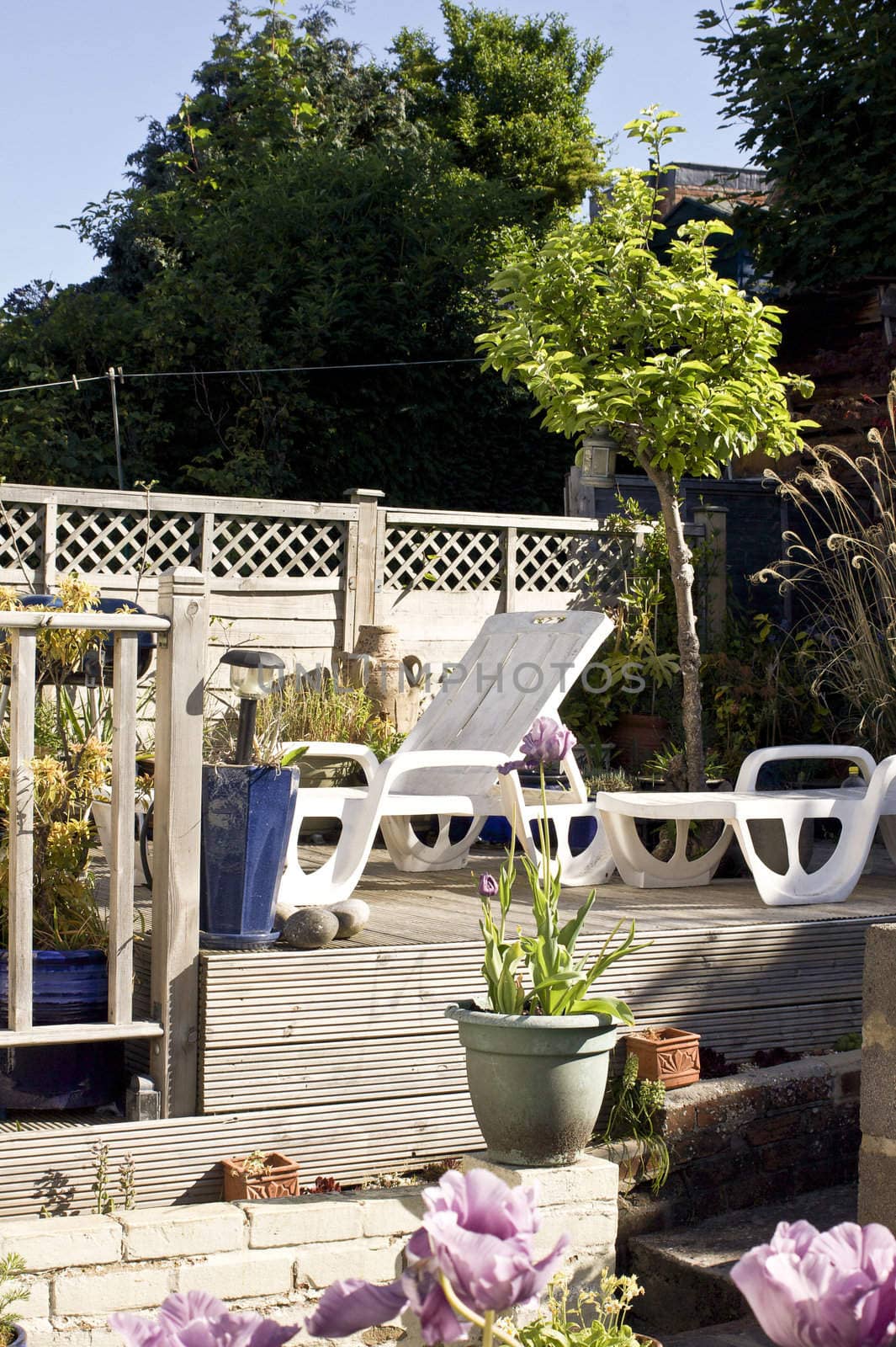 A small city garden setting with wooden constructed decking. Sun loungers rest on top of the decking surrounded by various ceramic plant containers, vegetation, flowers and plants.