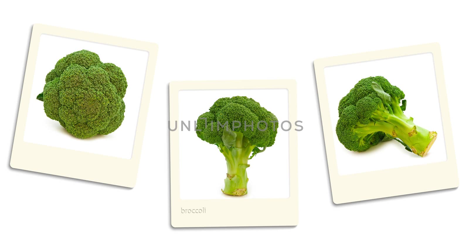 Thre old style photos of broccoli over white background