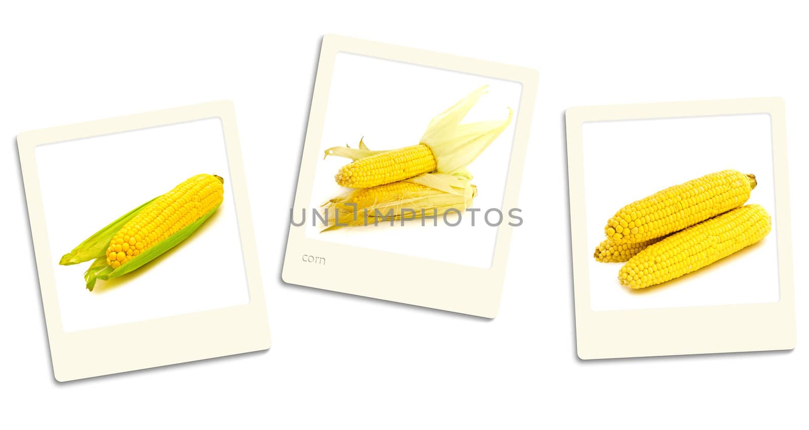 Thre old style photos of chocolate over white background