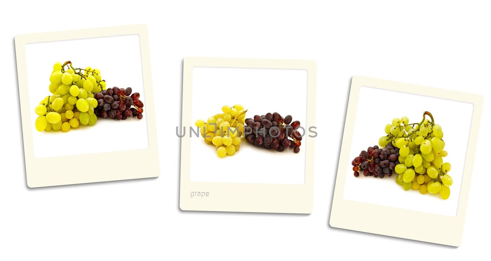 Thre old style photos of grape over white background