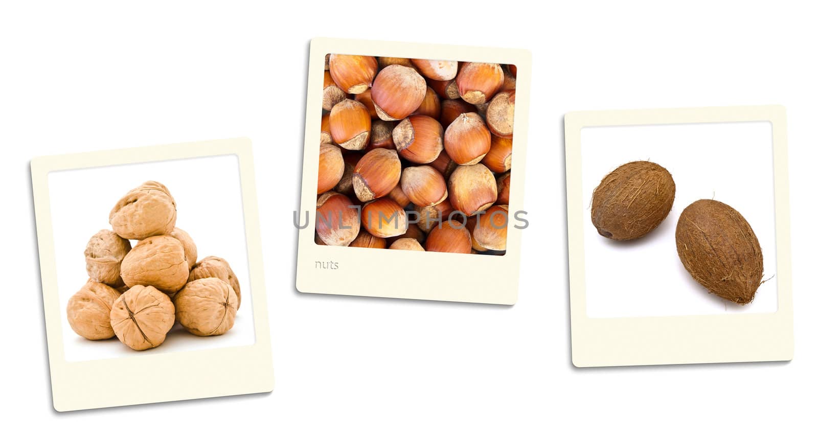 Thre old style photos of nuts over white background