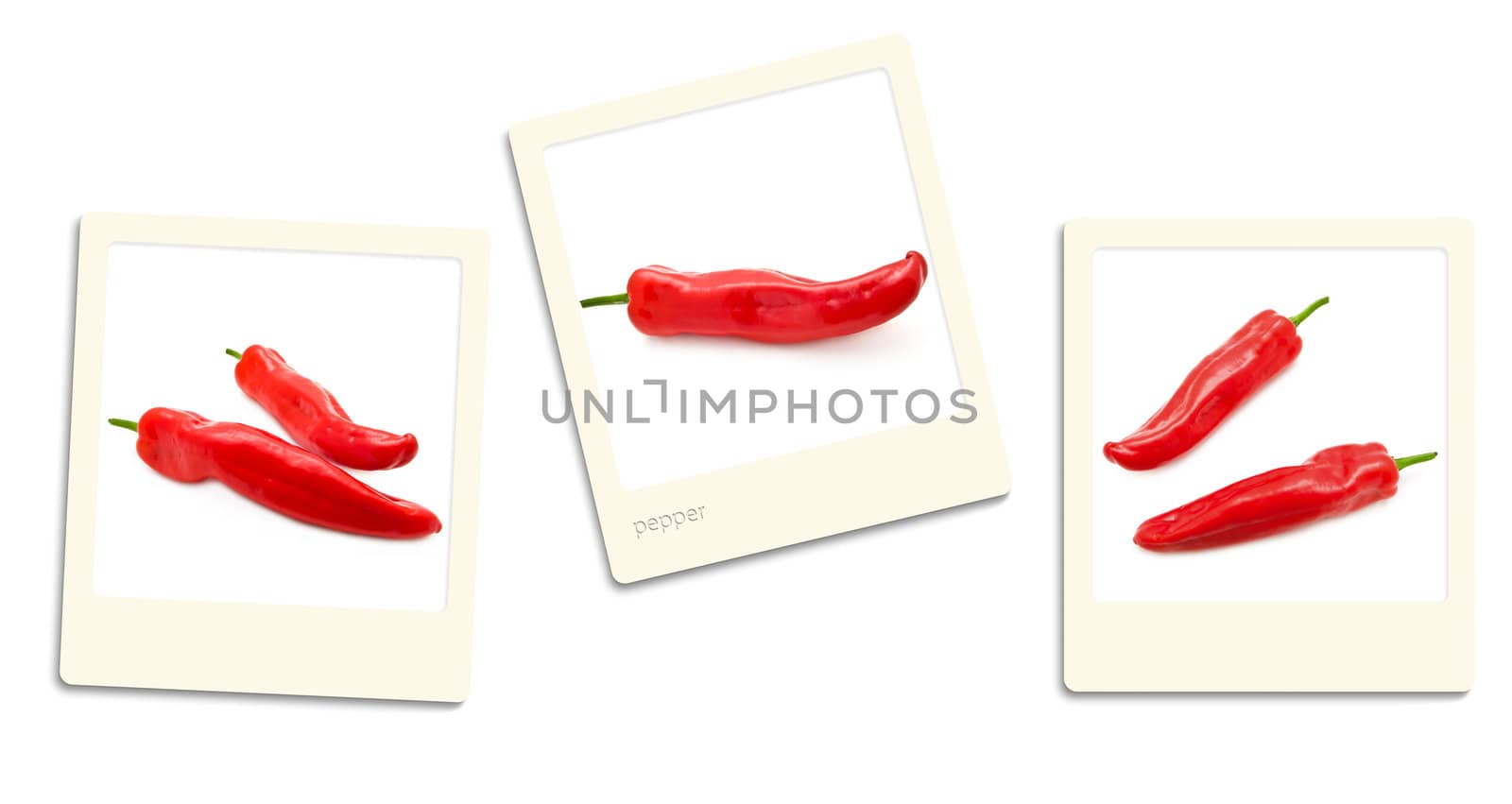 Thre old style photos of pepper over white background