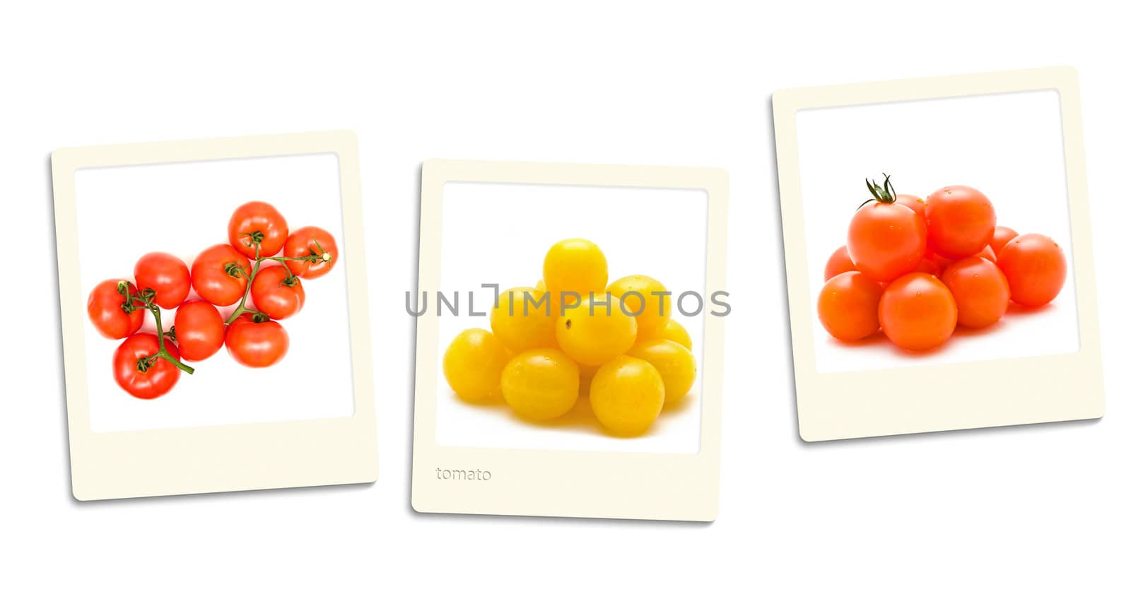 Thre old style photos of tomato over white background