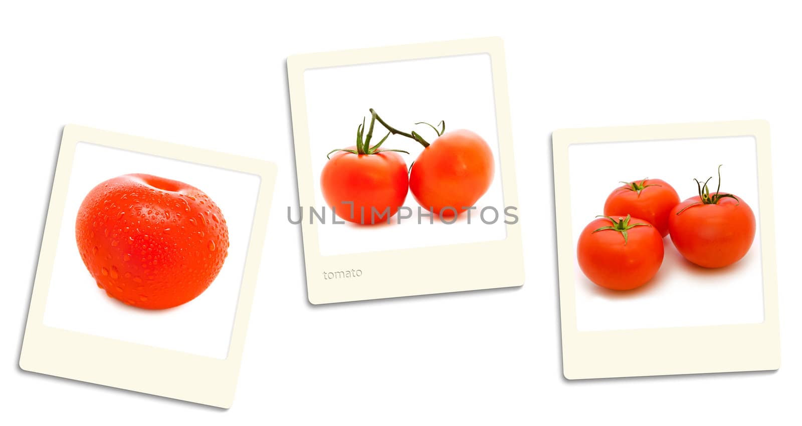 Thre old style photos of tomato over white background