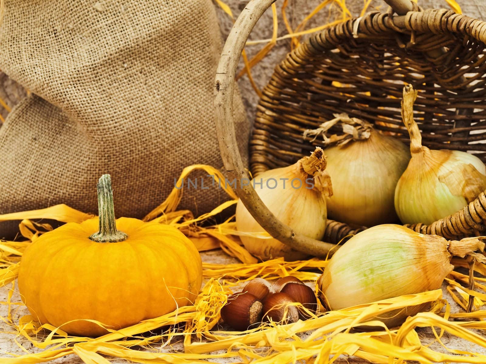 still life with pumpkin, basket, onion and nuts at beige 