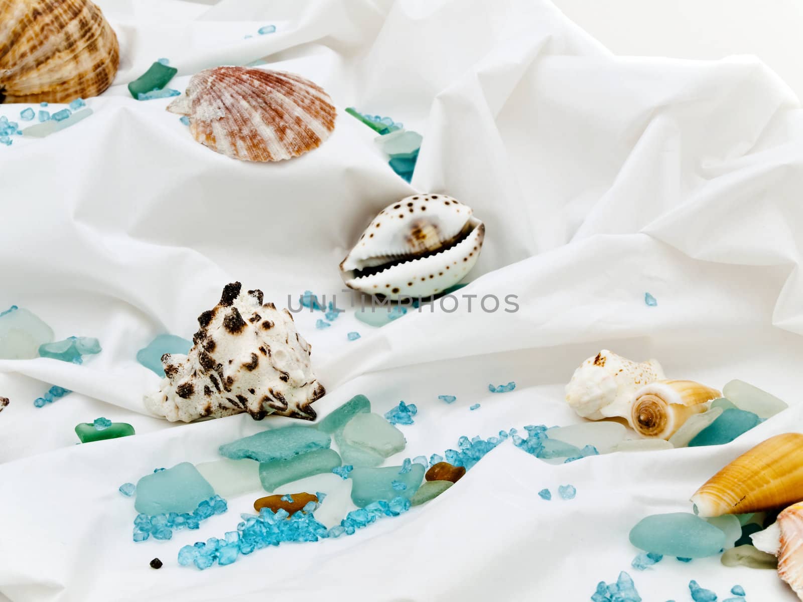 marine decor with sea shells and decorative stones at white 