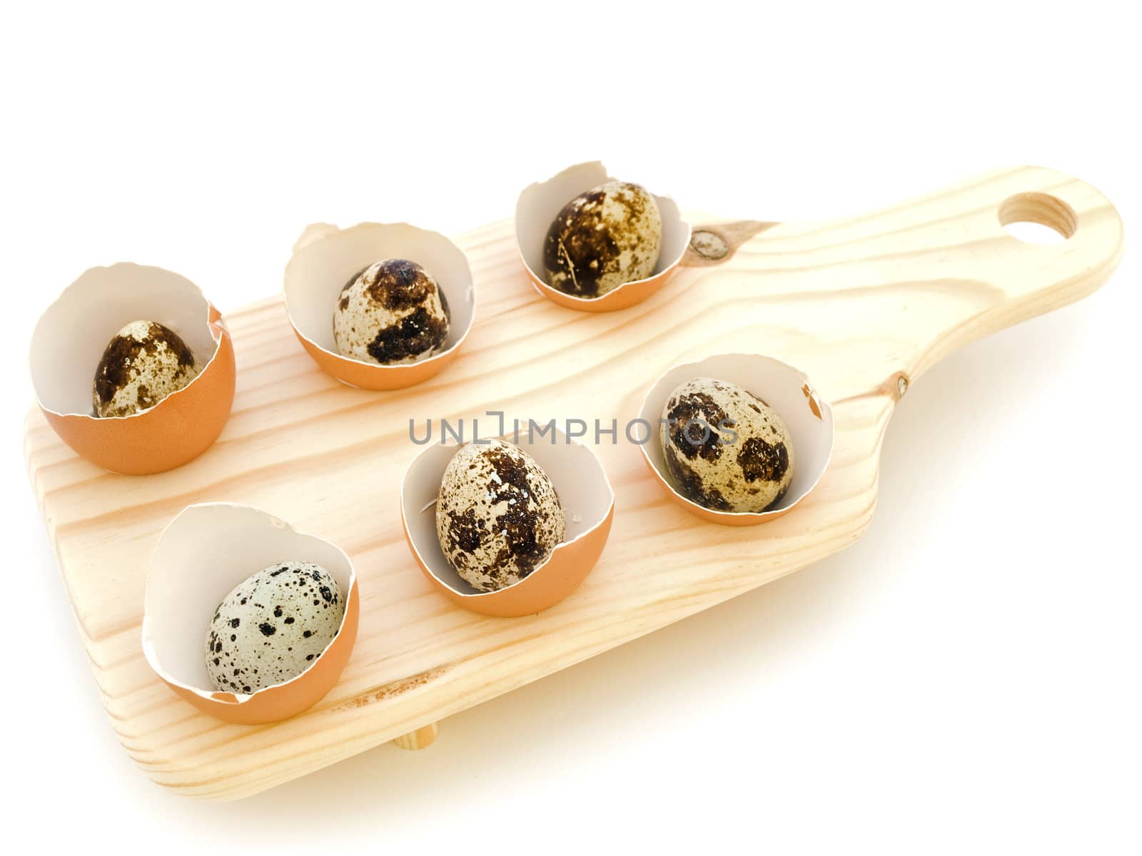 quail eggs in the chicken eggs shells