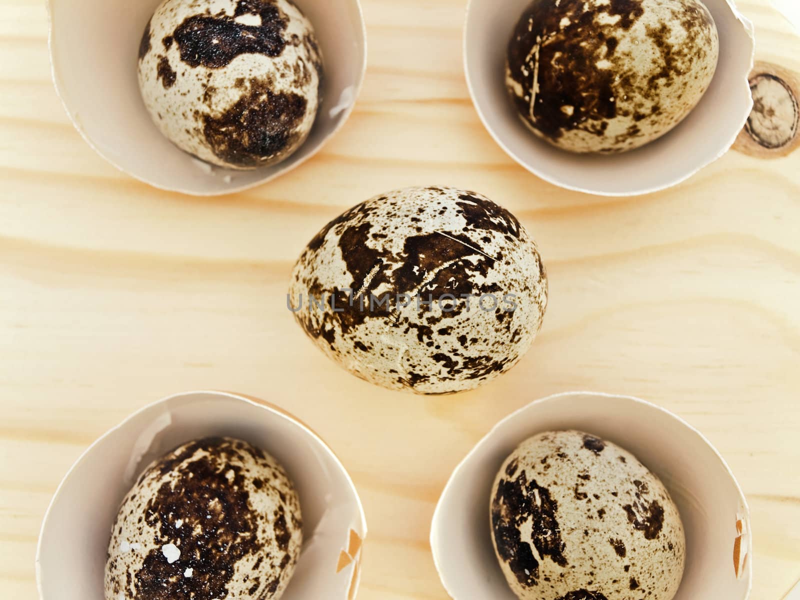 quail eggs in the chicken eggs shells