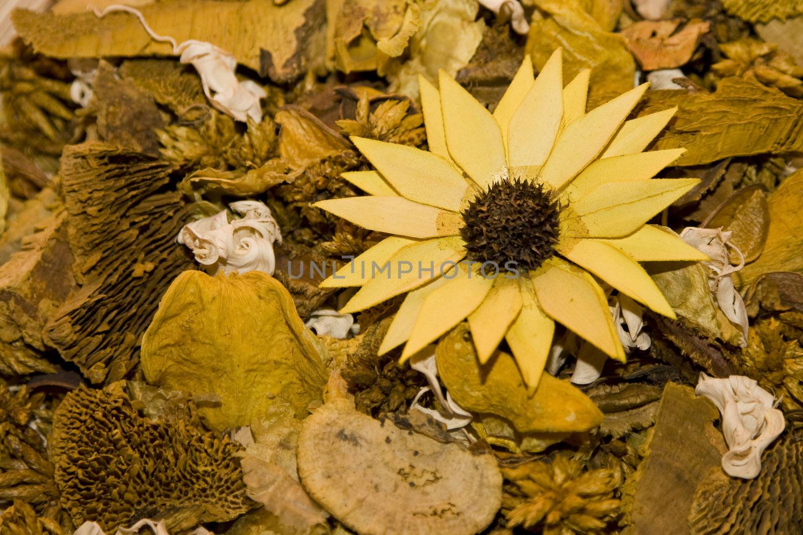abstract background of a yellow flower
