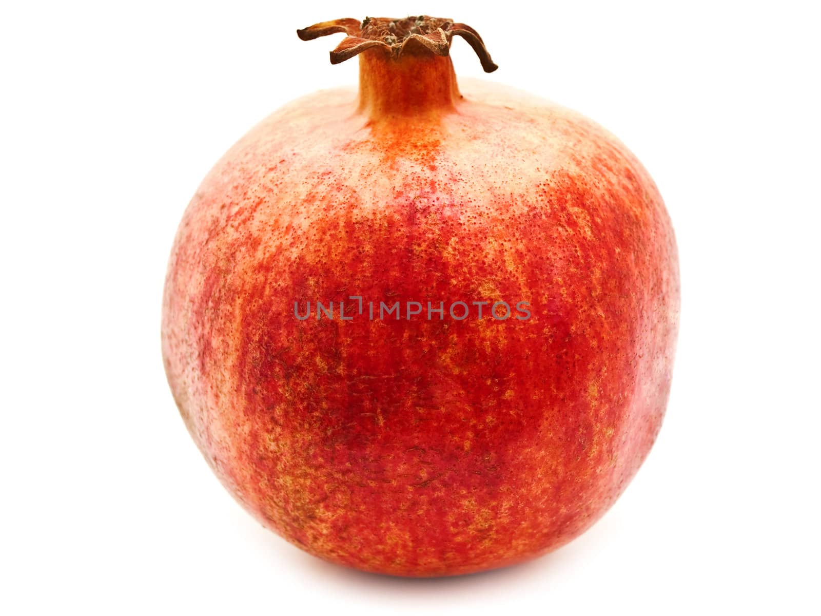 Single red pomegranate over the white background