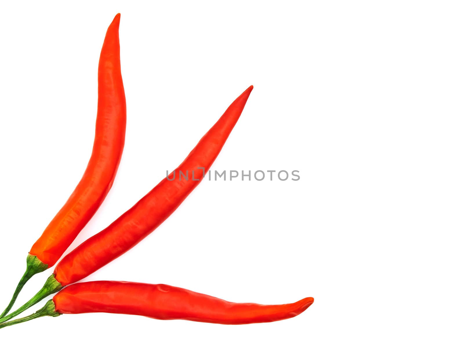 three red spicy peppers over white background