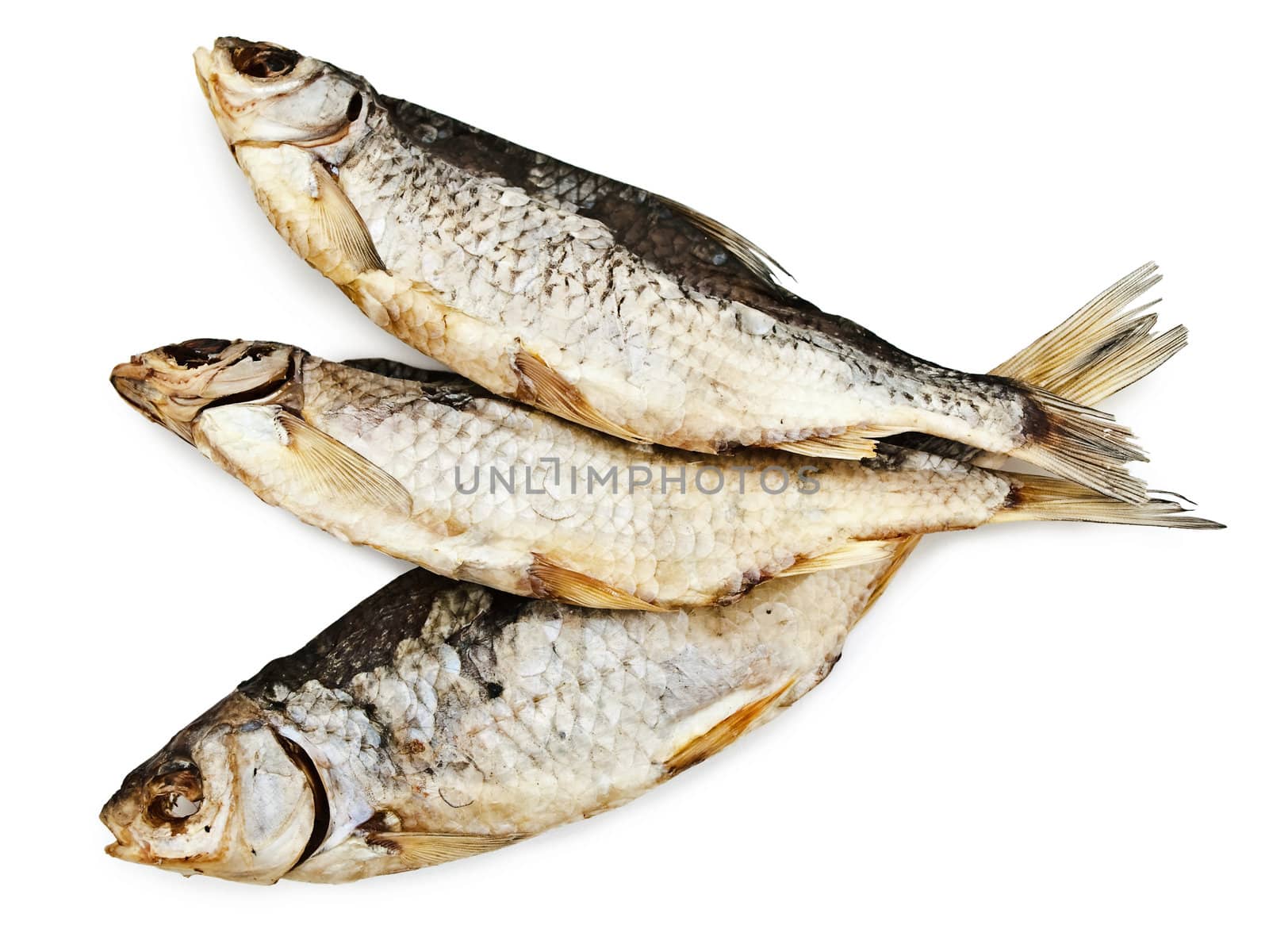 three dried fishes over the white background