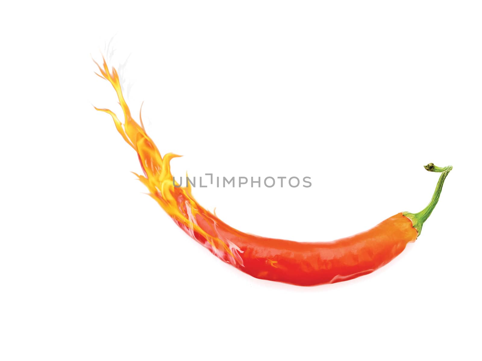 hot red chilli pepper with flame and copyspace aginst white background 