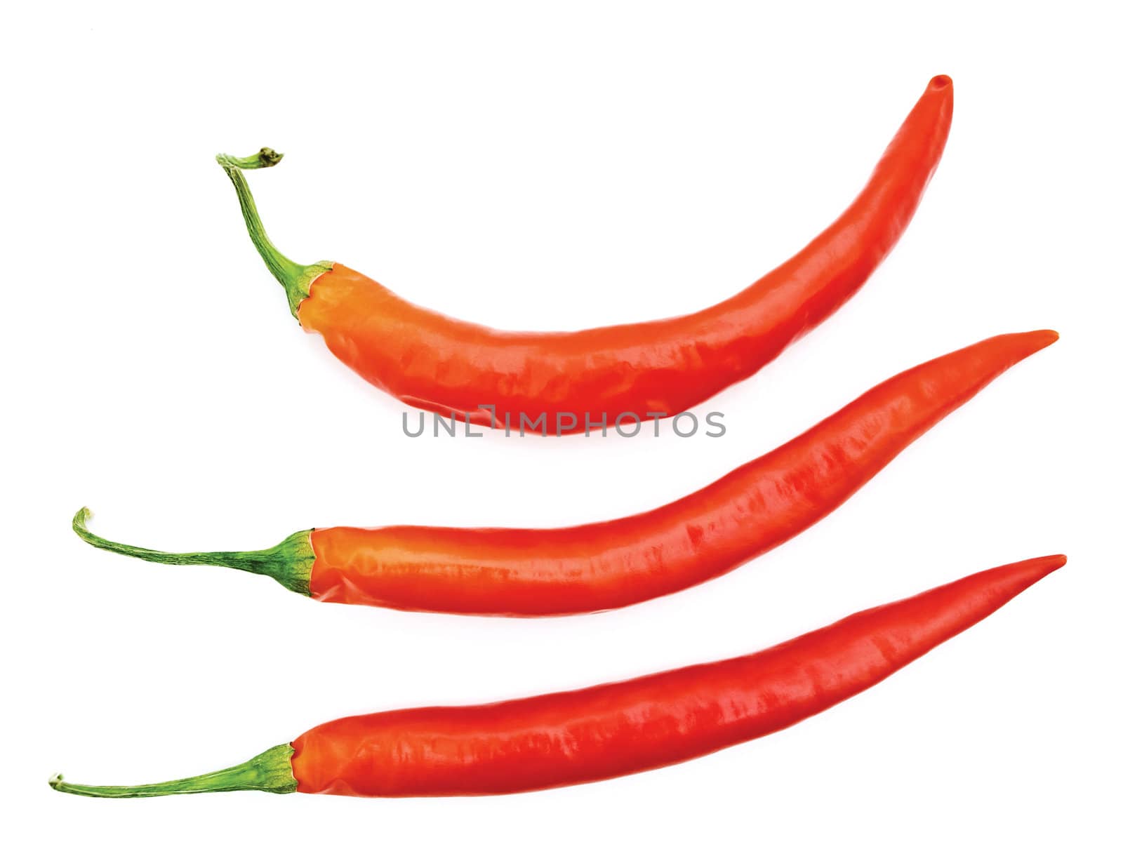  three red spicy peppers over white background with copyspace 
