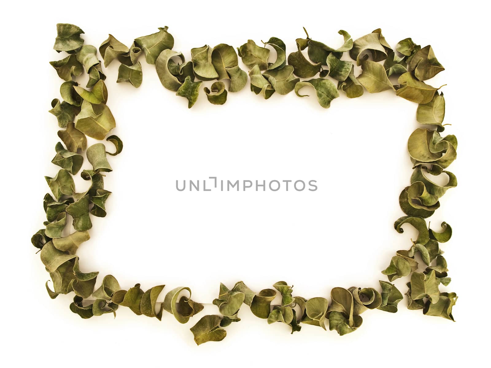 dry leaves border with copyspace for your text against white