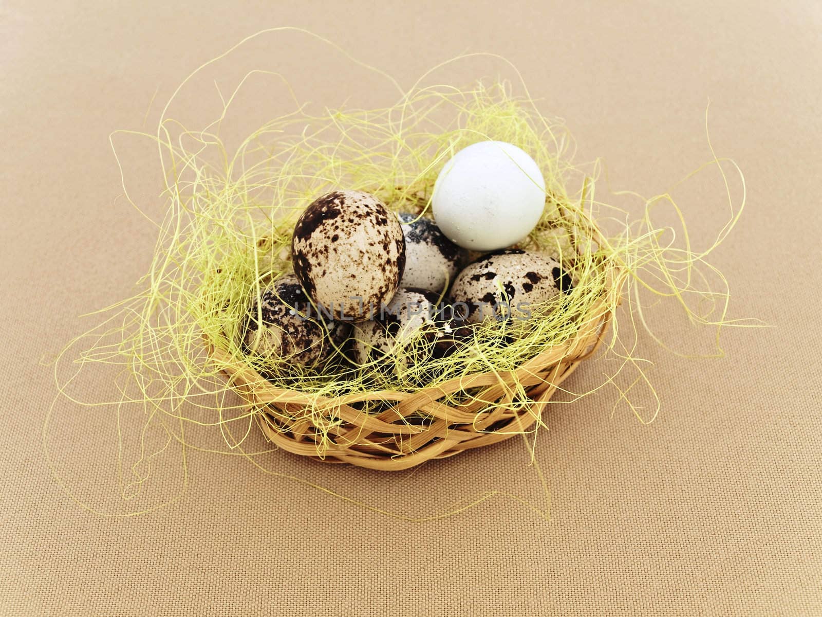 heap of quial eggs in the decorative nest against beige background